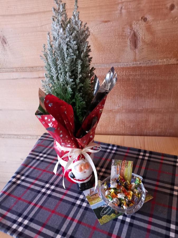 Pokoje Goscinne Pod Limbami Ciche Male Bagian luar foto
